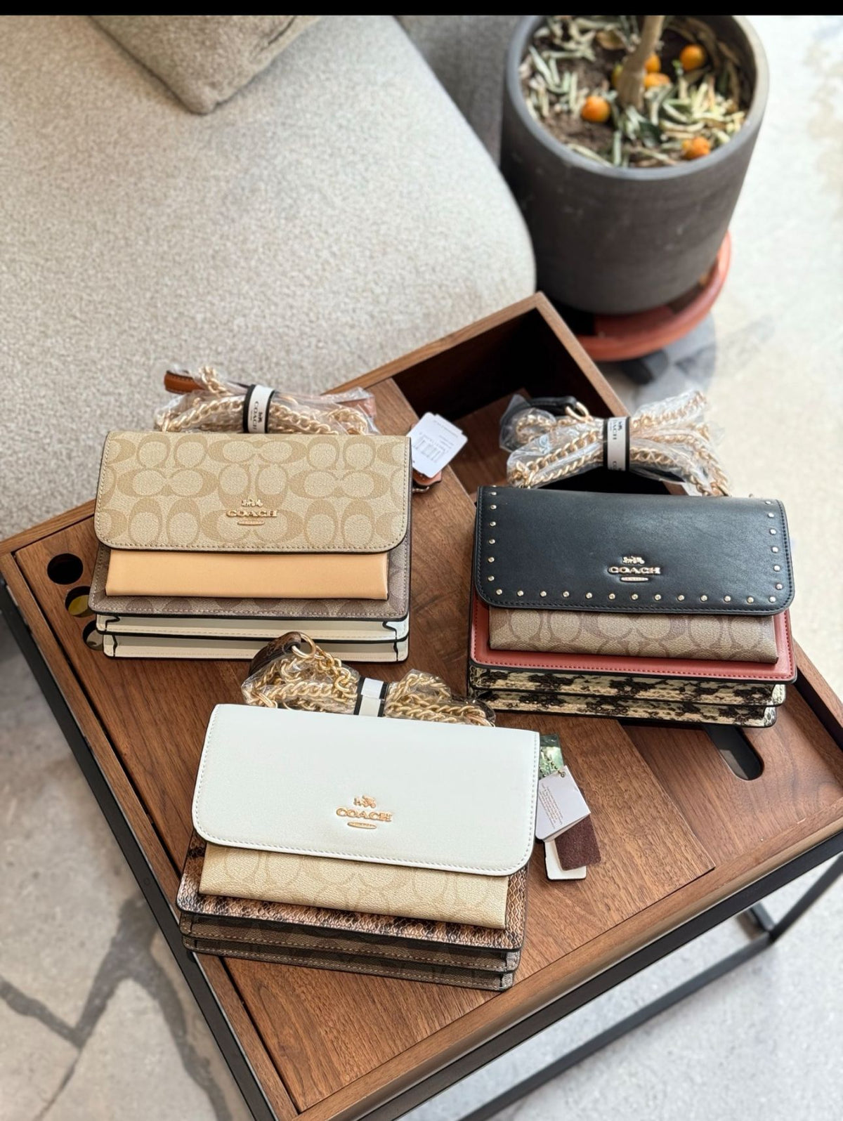 Fashion Wallet and Purse Collection