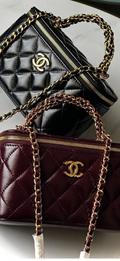 Elegant Quilted Leather Vanity Bag with Interlocking Clasp